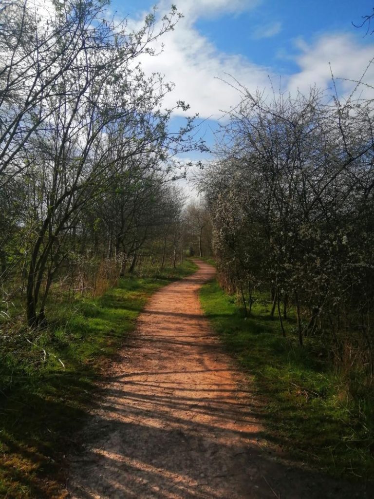Path at Frenchfield, Penrith
